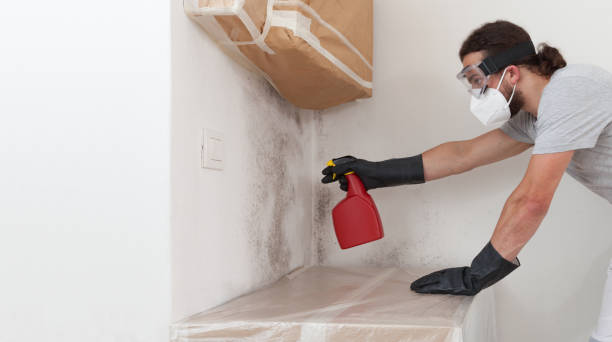 Professional Mold Remediation technician working in Hacksneck, VA