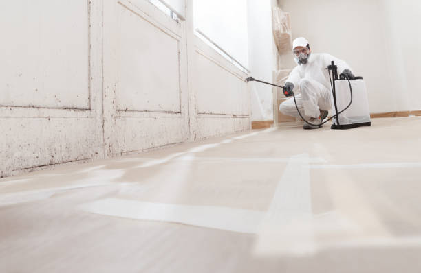 24/7 Emergency Mold Remediation experts in Hacksneck, VA